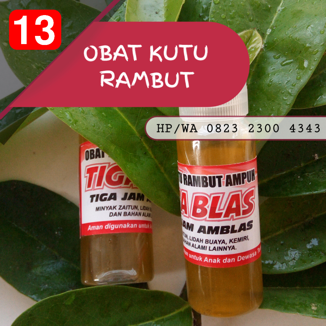 obat menghilangkan kutu rambut dan telurnya