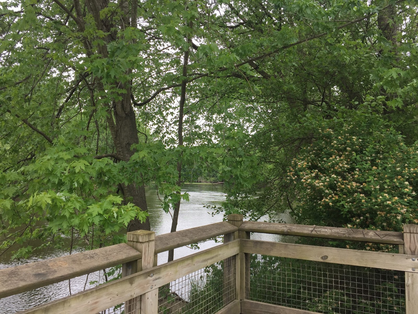 Travel Reviews & Information Ionia Michigan / Ionia State Park