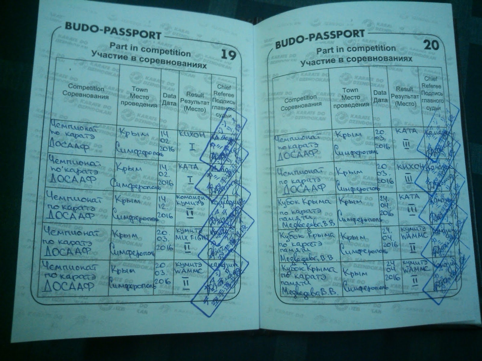 Образец заполнения будо паспорта