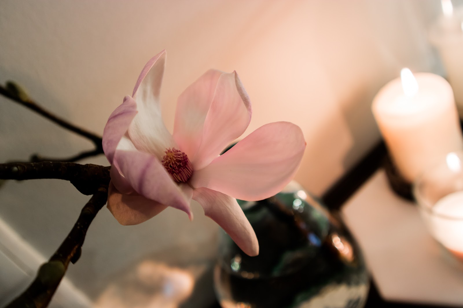 Big mamas home by Jenni S, Viikkokatsaus: Mikä on avokattila ja eksynyt lumipyryssä, lapsiperheen arki, mangolia, mangolian kukka,