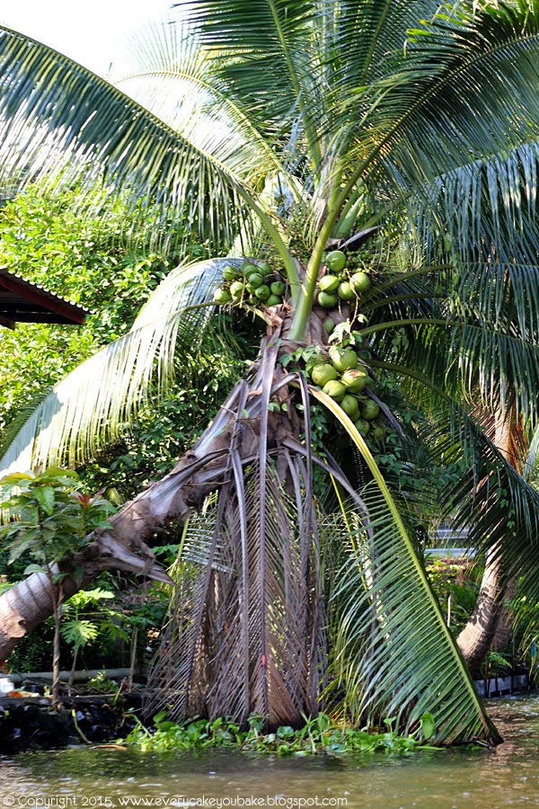 cukier kokosowy z kwiatu palmy kokosowej