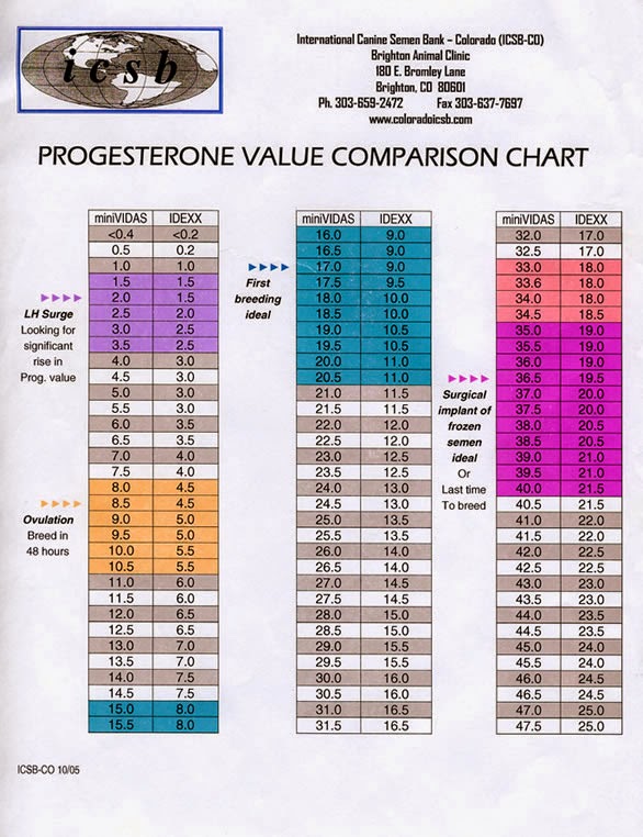 When Should Progesterone Test Be Done In Dogs