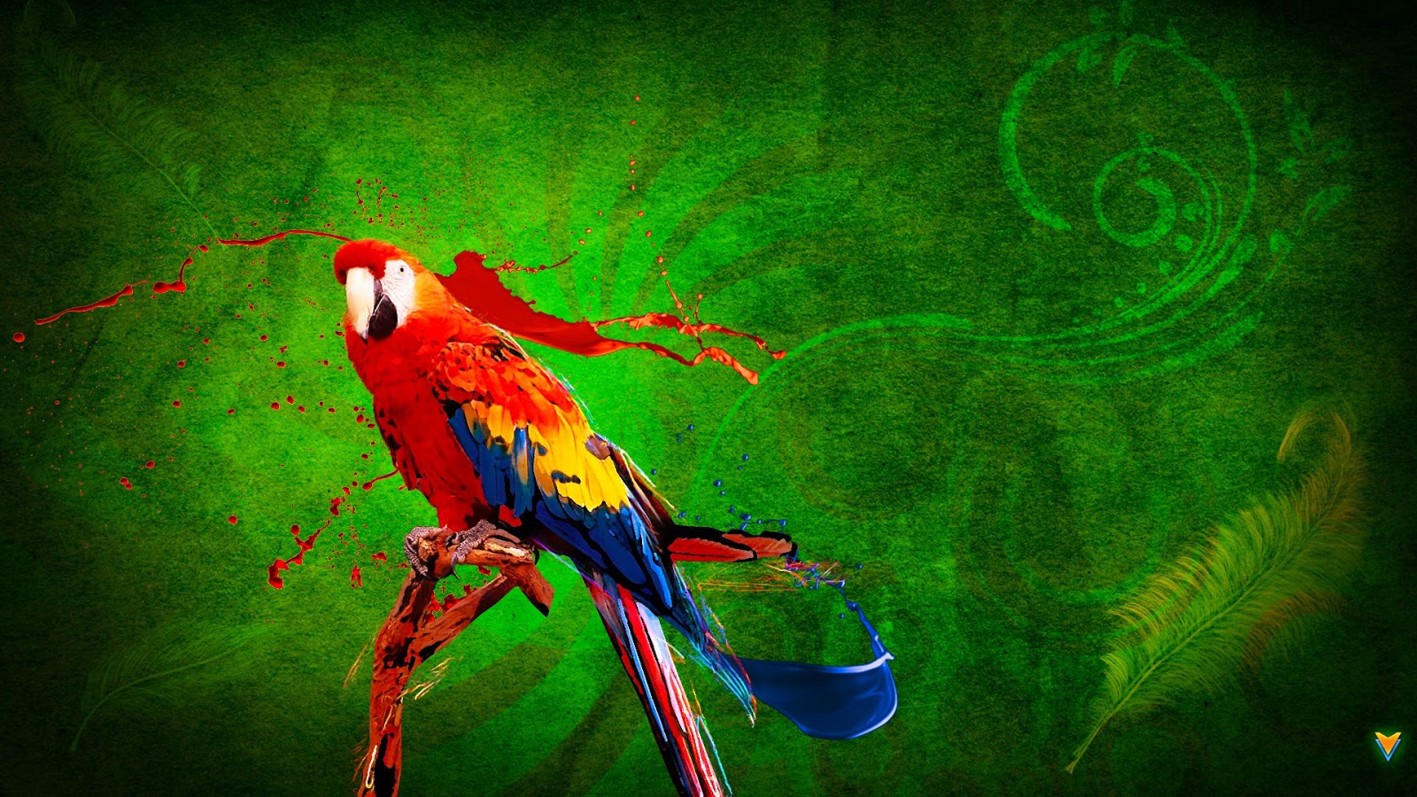 20 Colorful Parrot Wallpapers HD - Tapandaola111