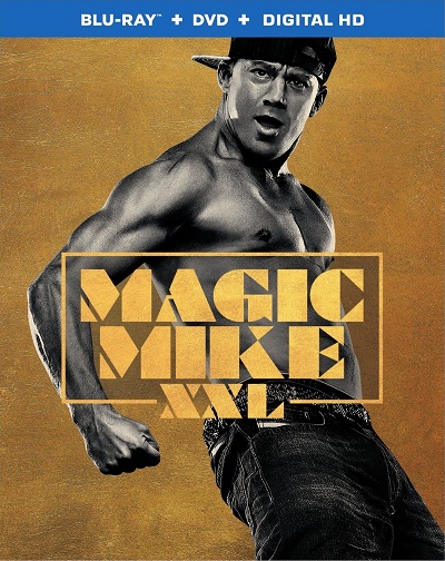 Magic Mike XXL (2015) 720p BDRip Dual Latino-Inglés [Subt. Esp] (Comedia)