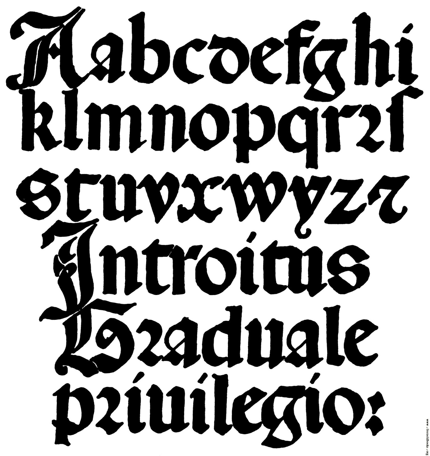 calligraphy-alphabet-january-2013