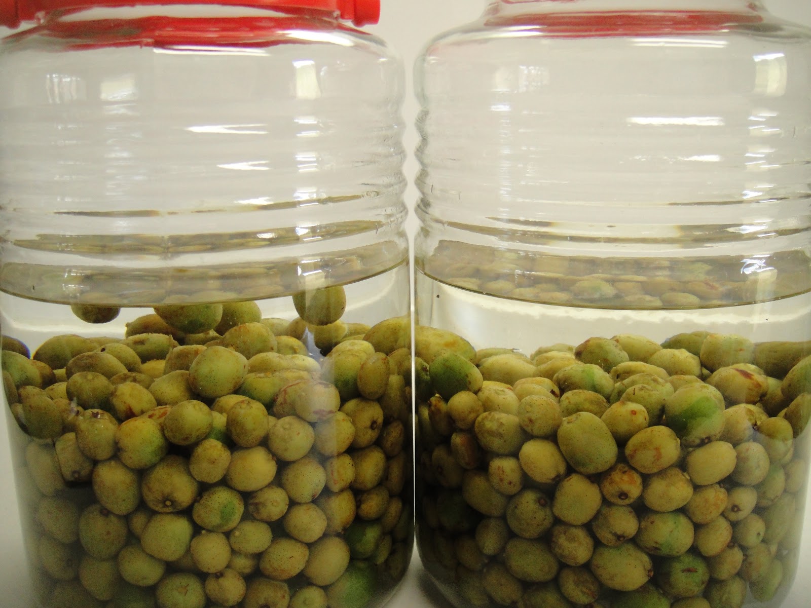 越麻呂日記 サルナシ酒