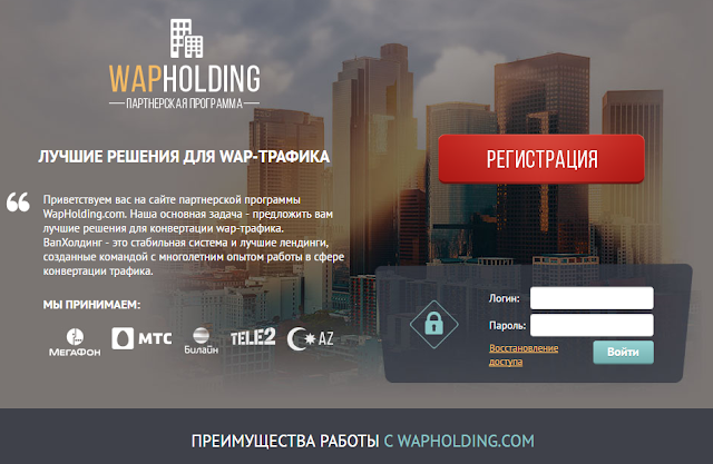 WapHolding - лучшие решения по мобильному трафику.