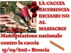 Brescia , corteo nazionale 2012