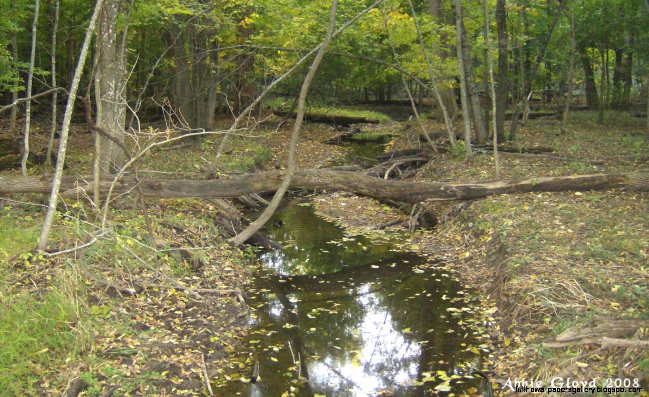 GHILLIE SUITS Lets see your Ghillie Suits