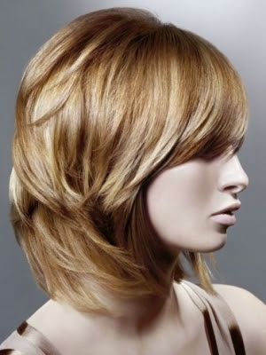 Layers Hair Salon, Long Hairstyle 2011, Hairstyle 2011, New Long Hairstyle 2011, Celebrity Long Hairstyles 2062