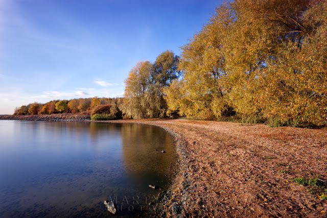 The reservoir at Grafham Water in Cambridgeshire with trees in autumn bloom