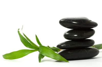 LES MÉDECINES ALTERNATIVES DE PLUS EN PLUS POPULAIRES EN FRANCE – Michel Mougenot