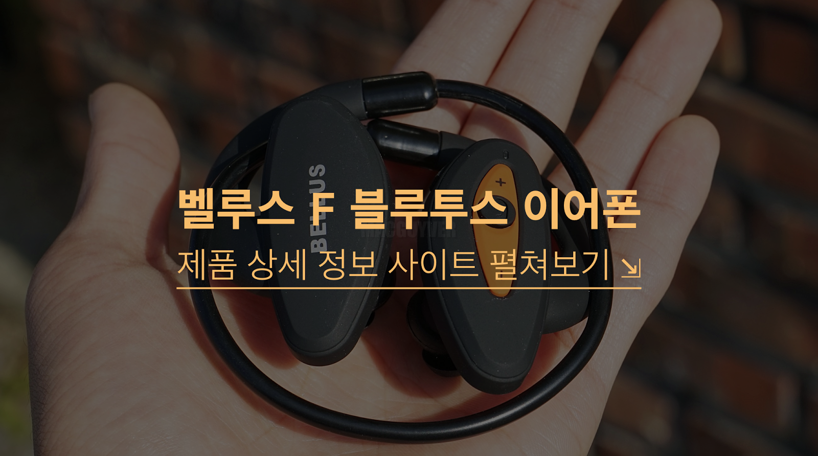 http://shopping.naver.com/search/all.nhn?query=bellus+f&frm=NVSCPRO&fo=true