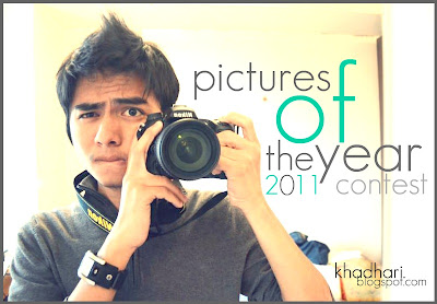 Picture of The Year 2011 Contest