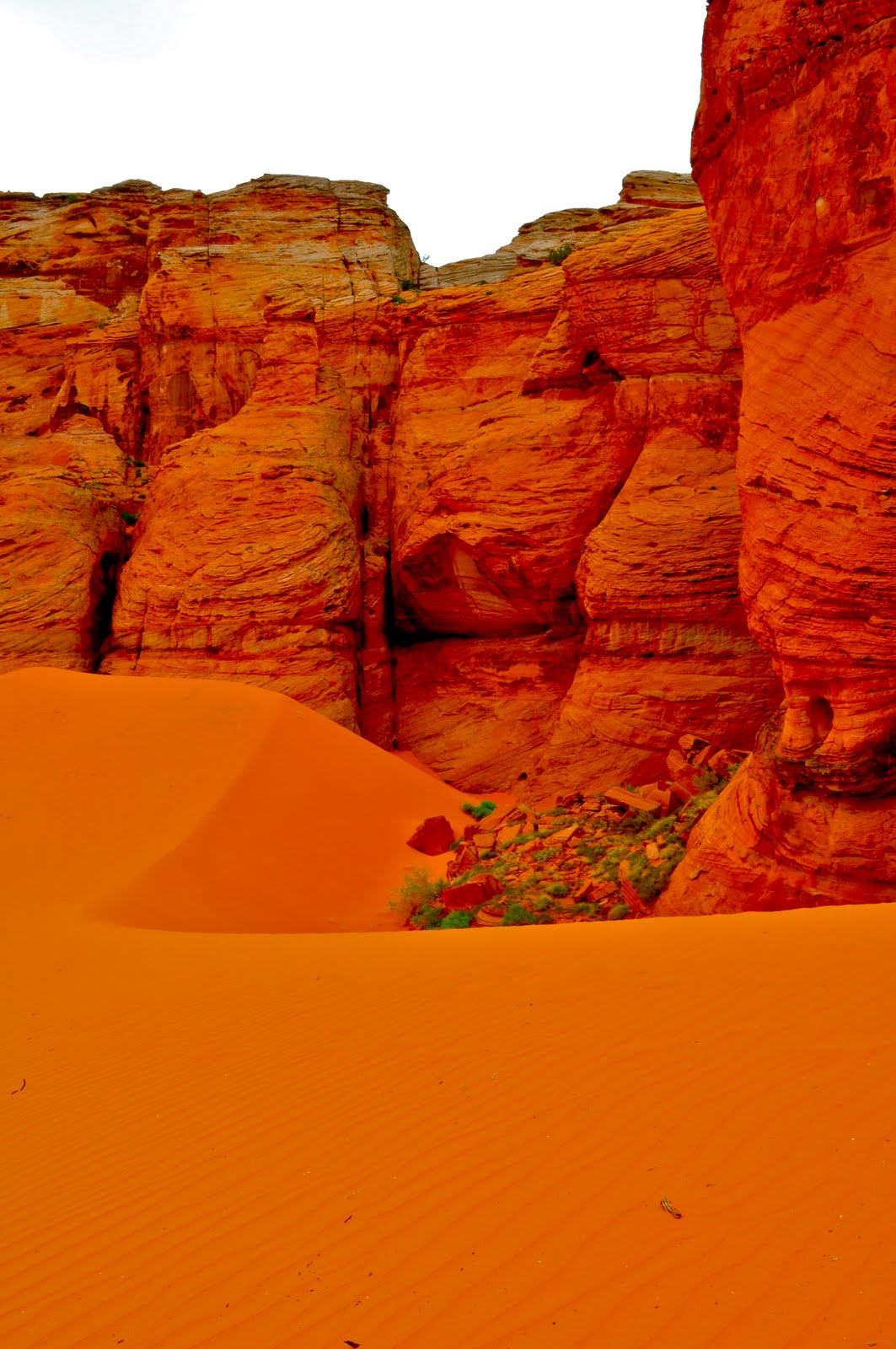 Scottsdale Daily Photo Photo Red Sand and Rock