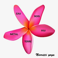 La cuisine des 5 éléments