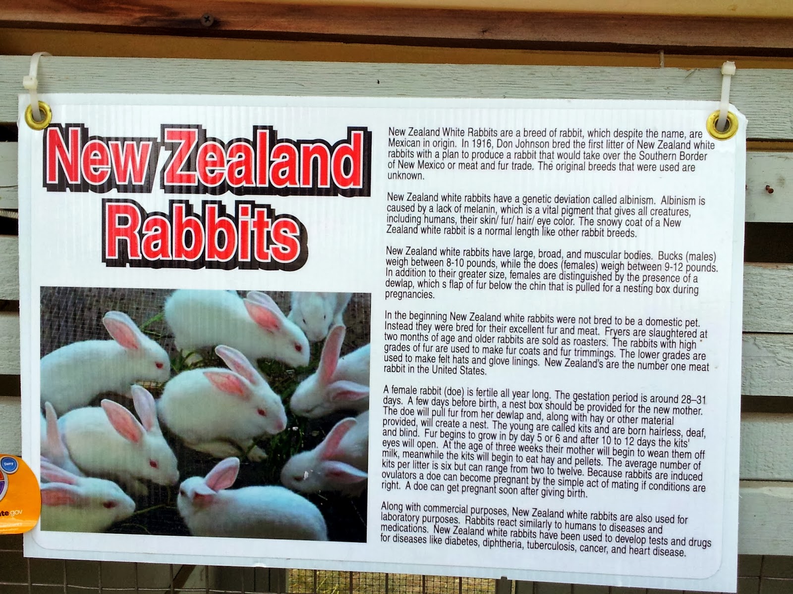 History and Culture by Bicycle Clay County Fair Grandpa's Barn, New