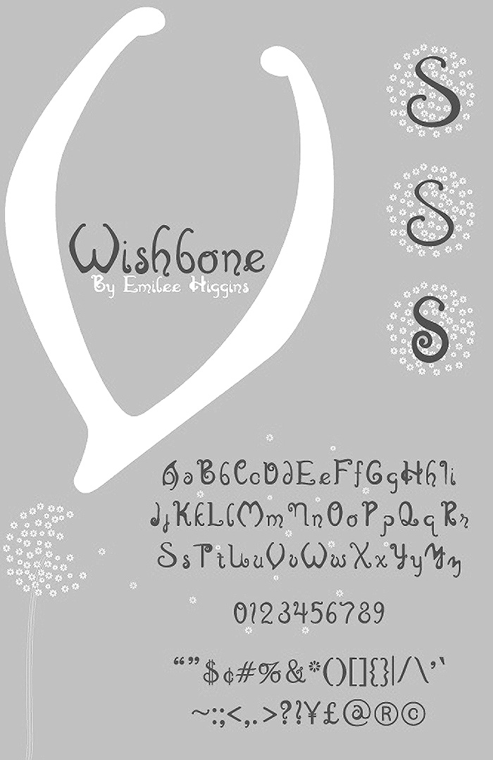 Wishbone by Emilee Higgins