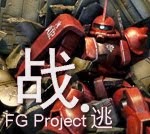 Fg project
