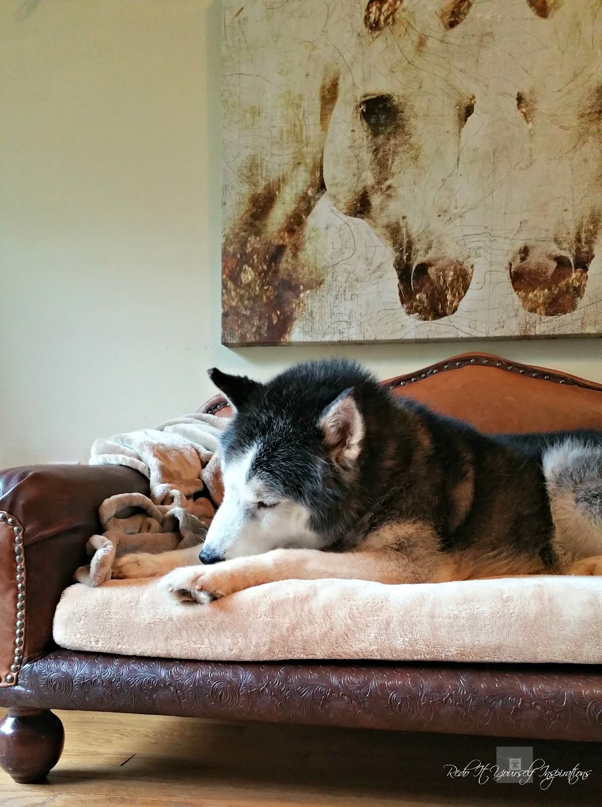 DIY Dog Sofa