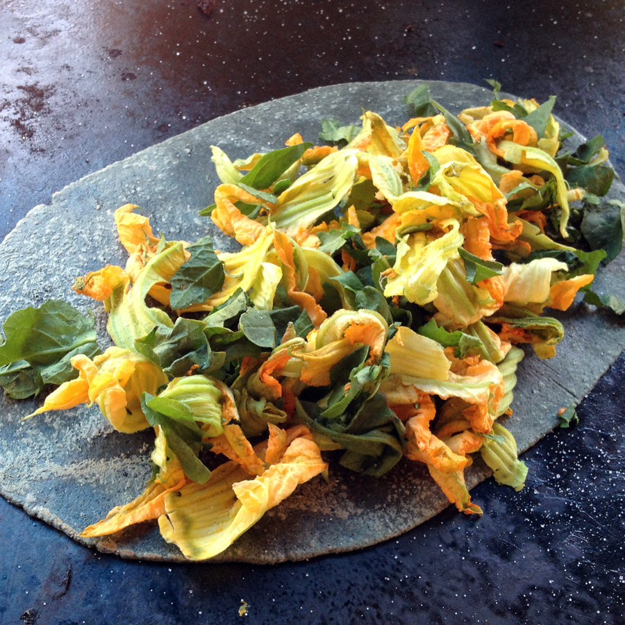 Art by Linda Queally An Exhacienda, Squash Flower Quesadillas, and the