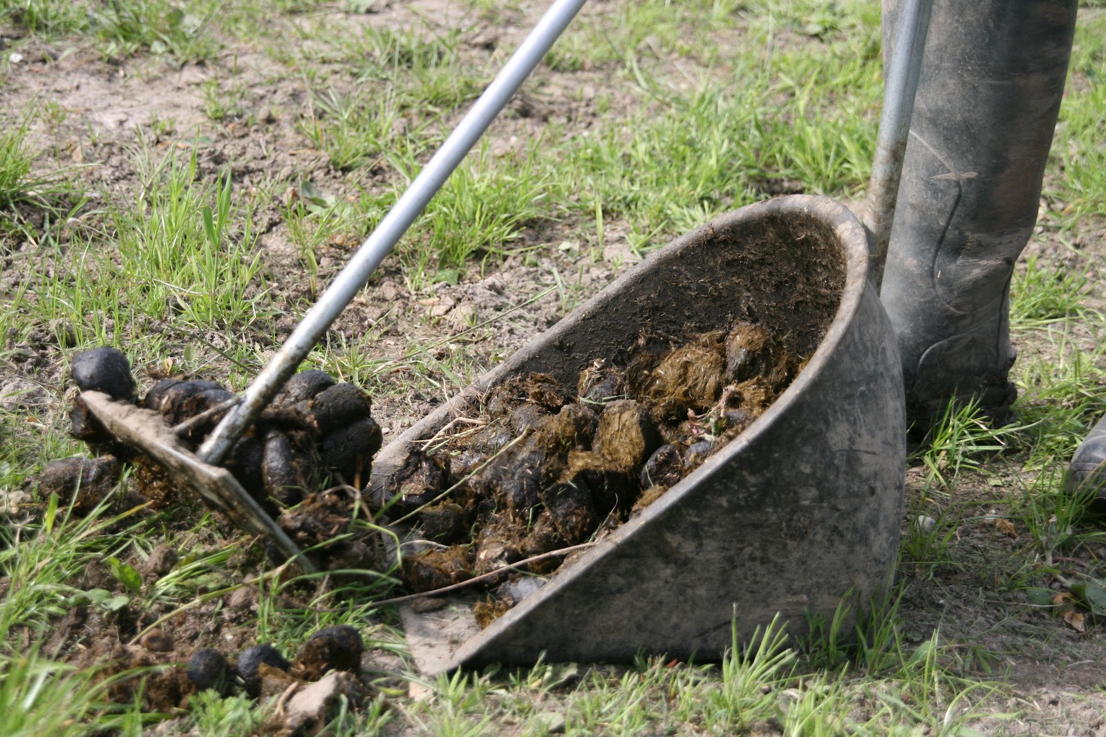 TRAKEHNERS CAN JUMP TCJpart65 The Poo Edition!