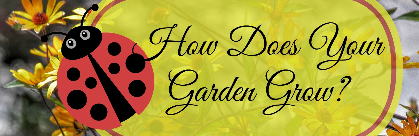 Christian Images In My Treasure Box: How Does Your Garden Grow