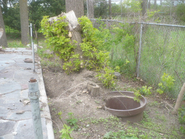 Gear Acres at Top of the Hill: 04/01/2012 - 05/01/2012