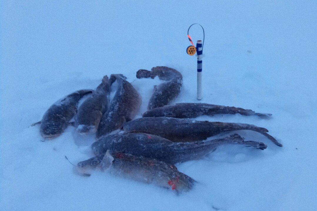 орз охотники и рыболовы