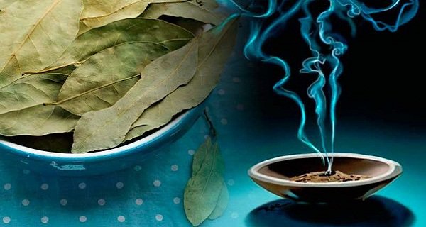 Burn A Bay Leaf In Your House : 4 Amazing Benefits