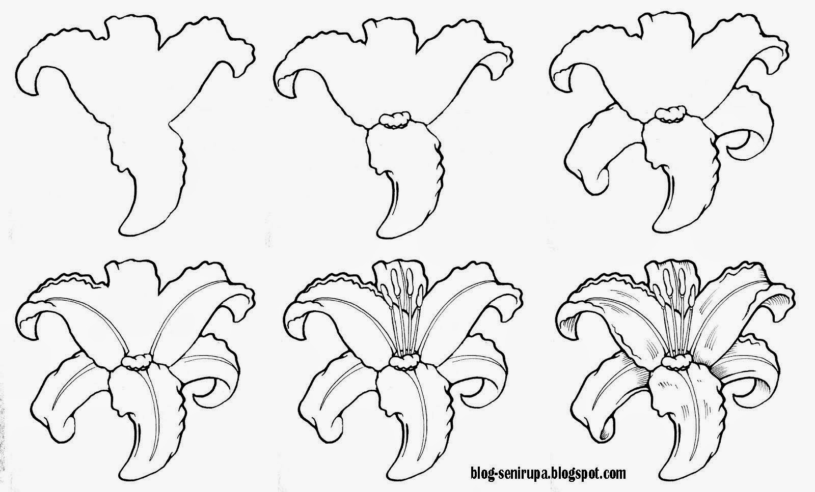 8 Menggambar Flora Langkah Demi Seni Rupa Contoh Gambar