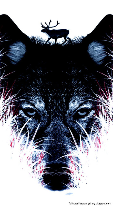 Wolf White   The iPhone Wallpapers