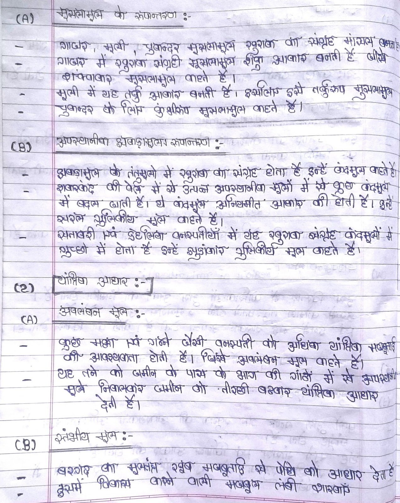 Parts of a leaf for kids image