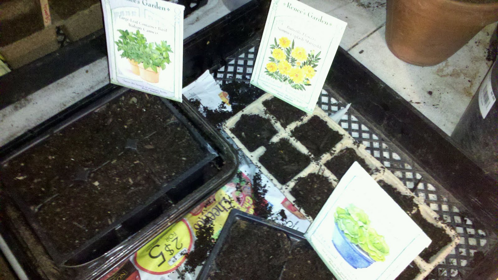 Jenn's Gardening Spot A Container Garden Journey...It's Seed GROW time