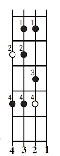 Major scale on the bass guitar