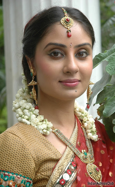 Bhanu Sri Mehra Adorned in Traditional Saree in Jewelery - Indian