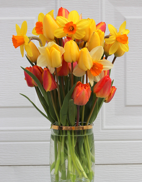 DAFFODIL AND TULIPS GO TOGETHER IN ARRANGEMENTS - Sowing the Seeds