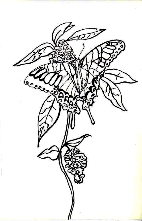 Make it easy crafts: Printable Butterfly coloring greeting card