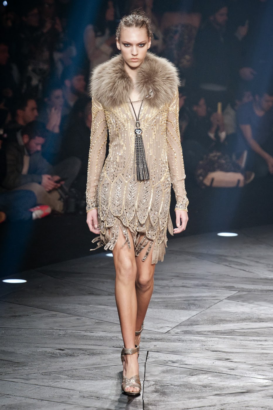 Fashion Show: Roberto Cavalli Fall/Winter 2014/15