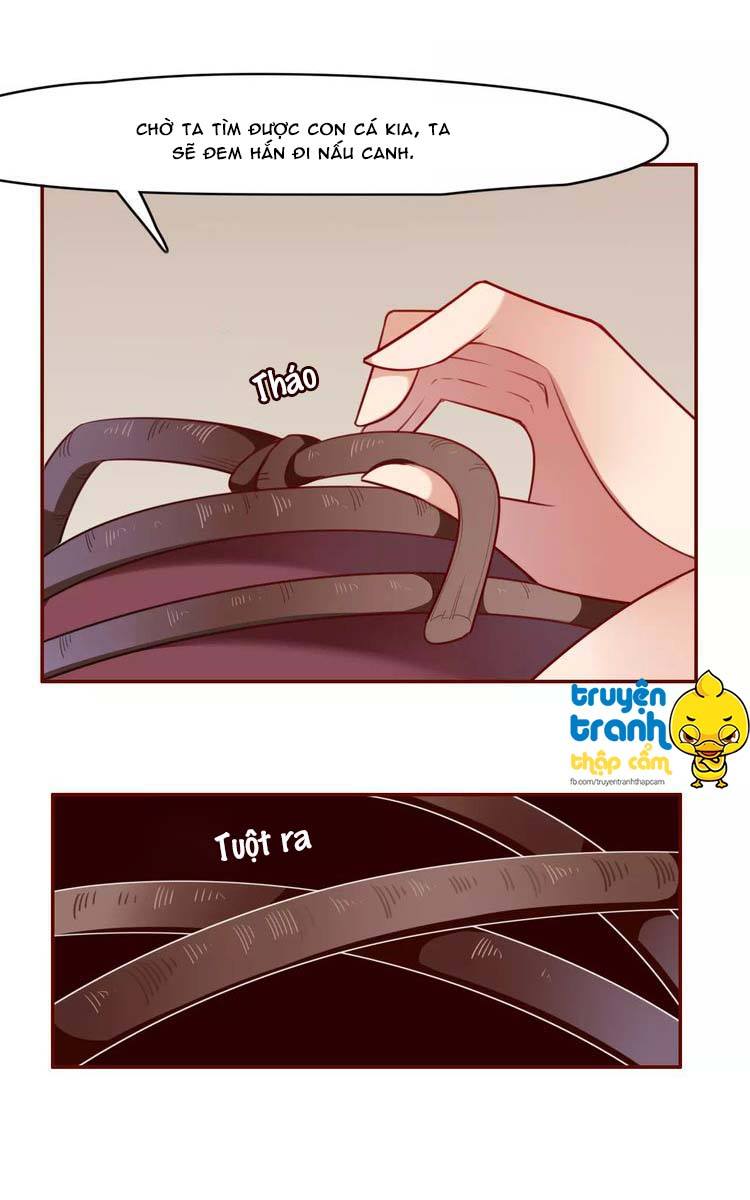 Cẩm Lý Quy - Chương 5 - Trang 15