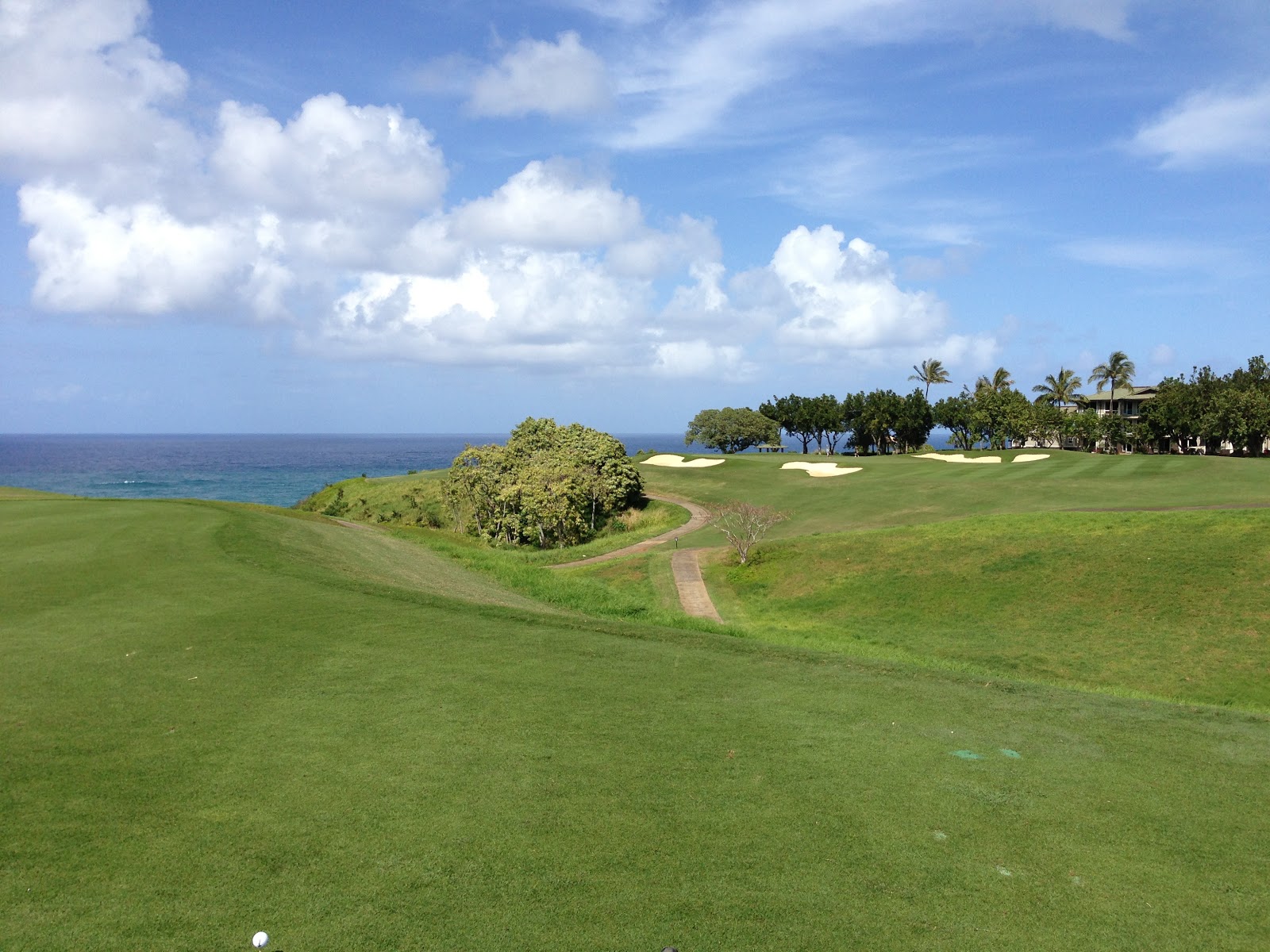 GREAT EATS HAWAII PRINCEVILLE MAKAI GOLF CLUB PRINCEVILLE, KAUAI