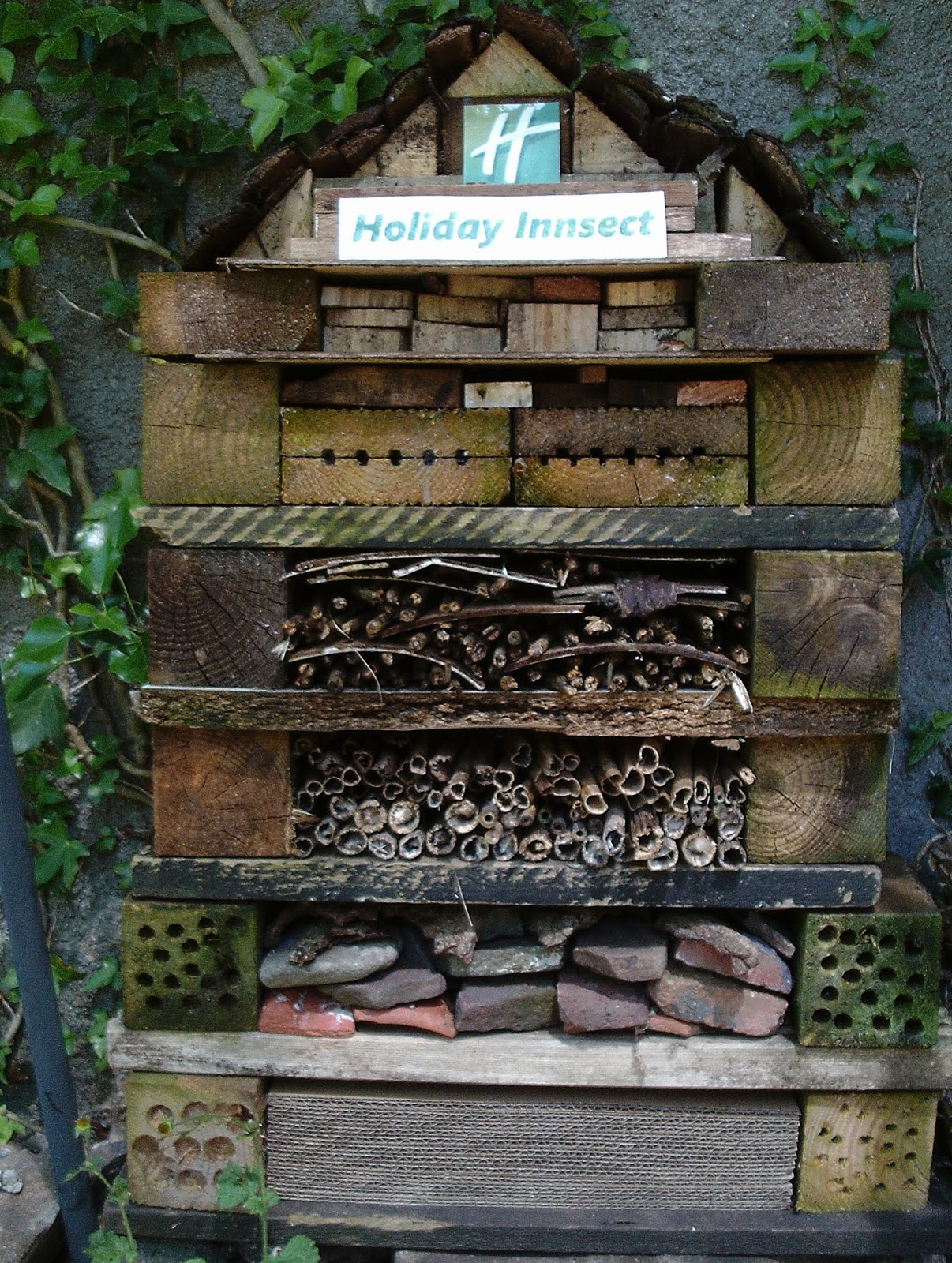 How to make a bug hotel from a plastic bottle picture
