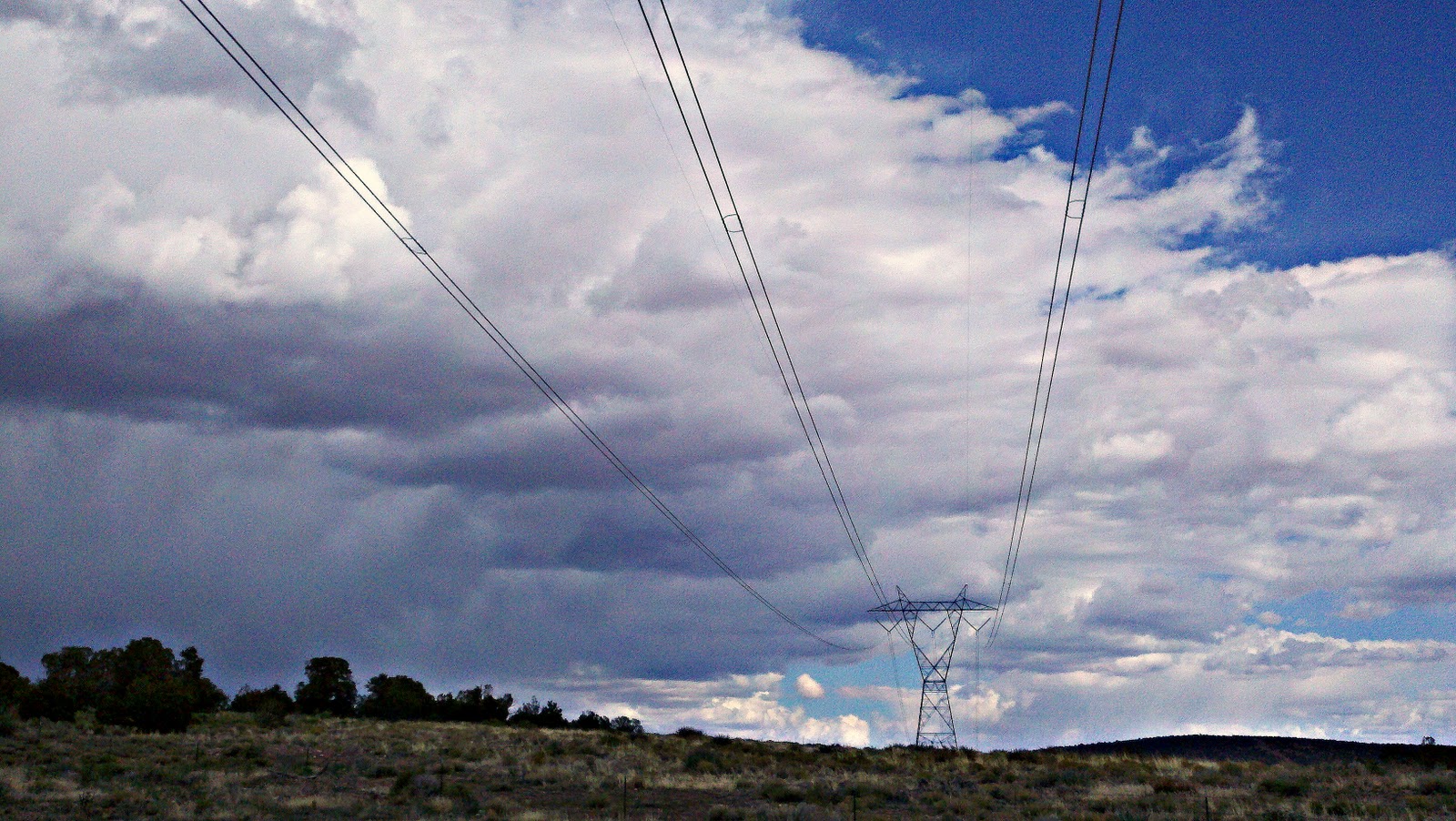 JR Snyder Jr Buzzing Lines