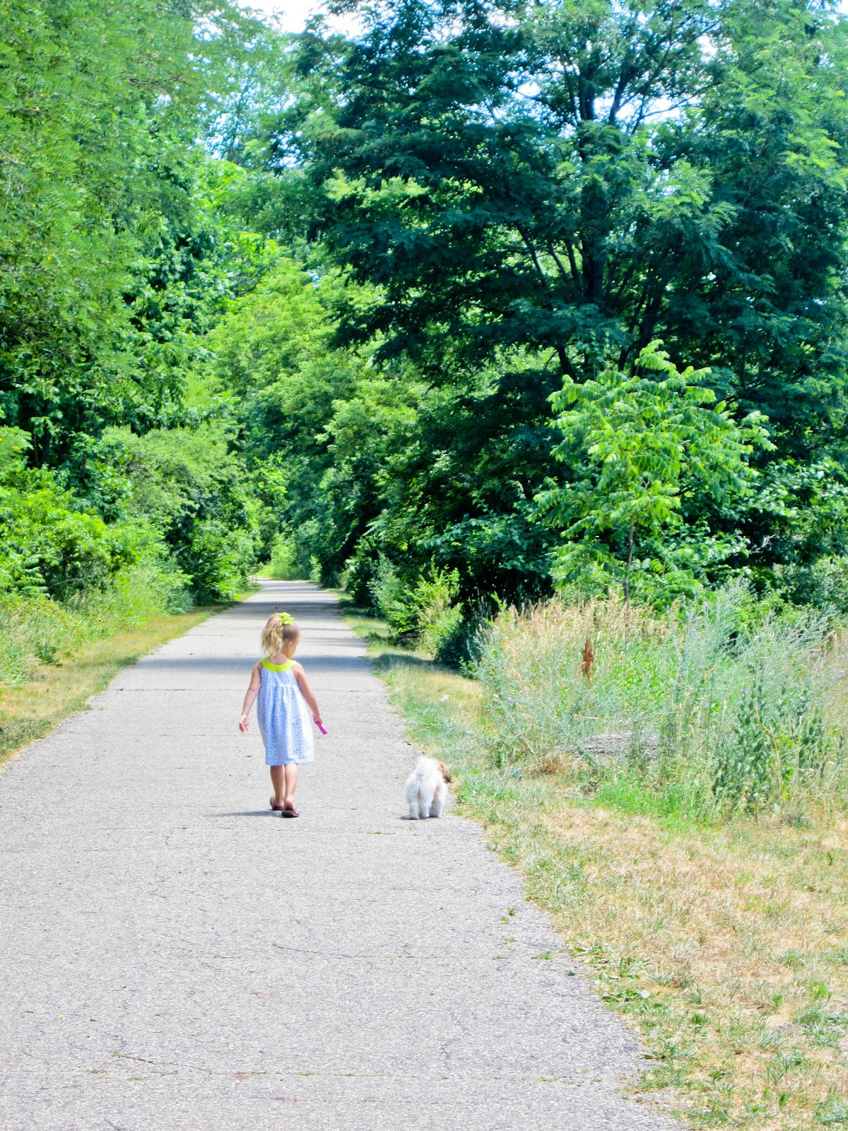 Trail and Park Reviews Baw Beese Walking Trail, Hillsdale Michigan part of the North Country