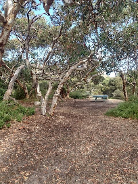 5 places to go camping near Adelaide