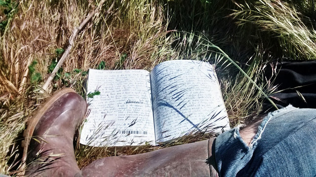 diario di viaggio diario wwoofer