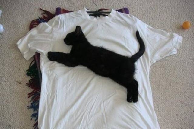 Picdump-038.jpg