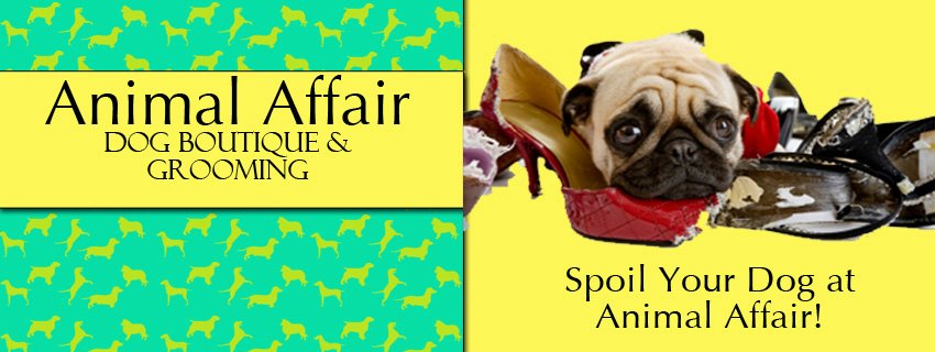 Animal Affair Dog Boutique & Grooming