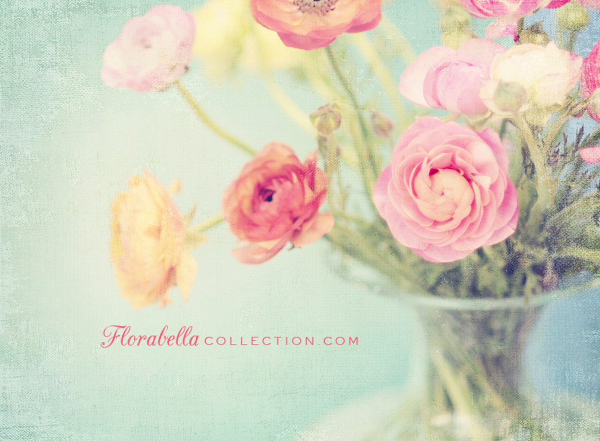 Стильная открытка с цветами. Ранункулюс Прованс. Нежный цветок. Стильные цветы. Цветы в пастельных тонах.