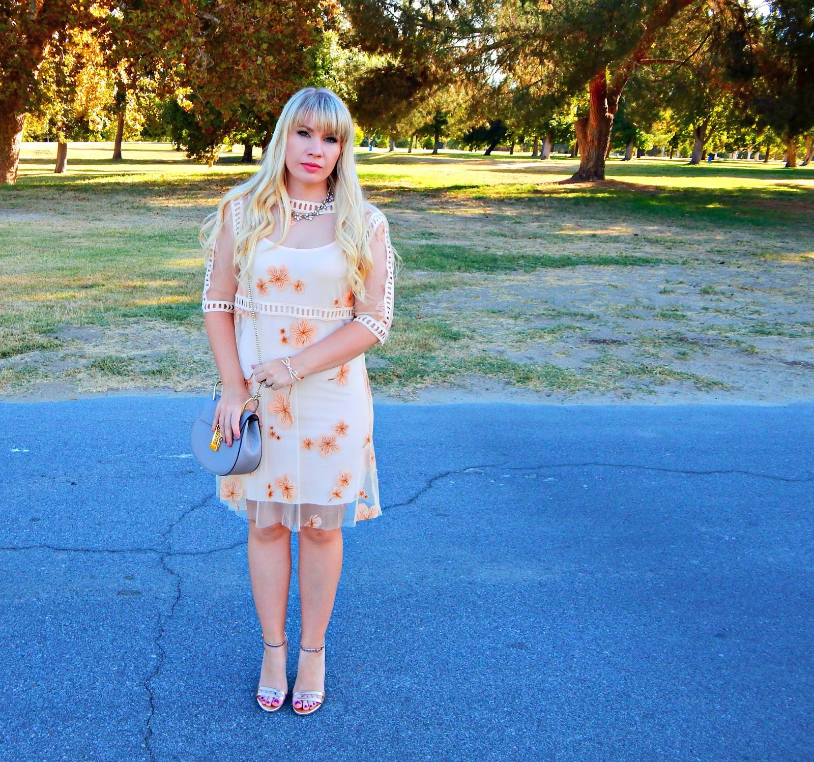 Embroidered Peach Dress